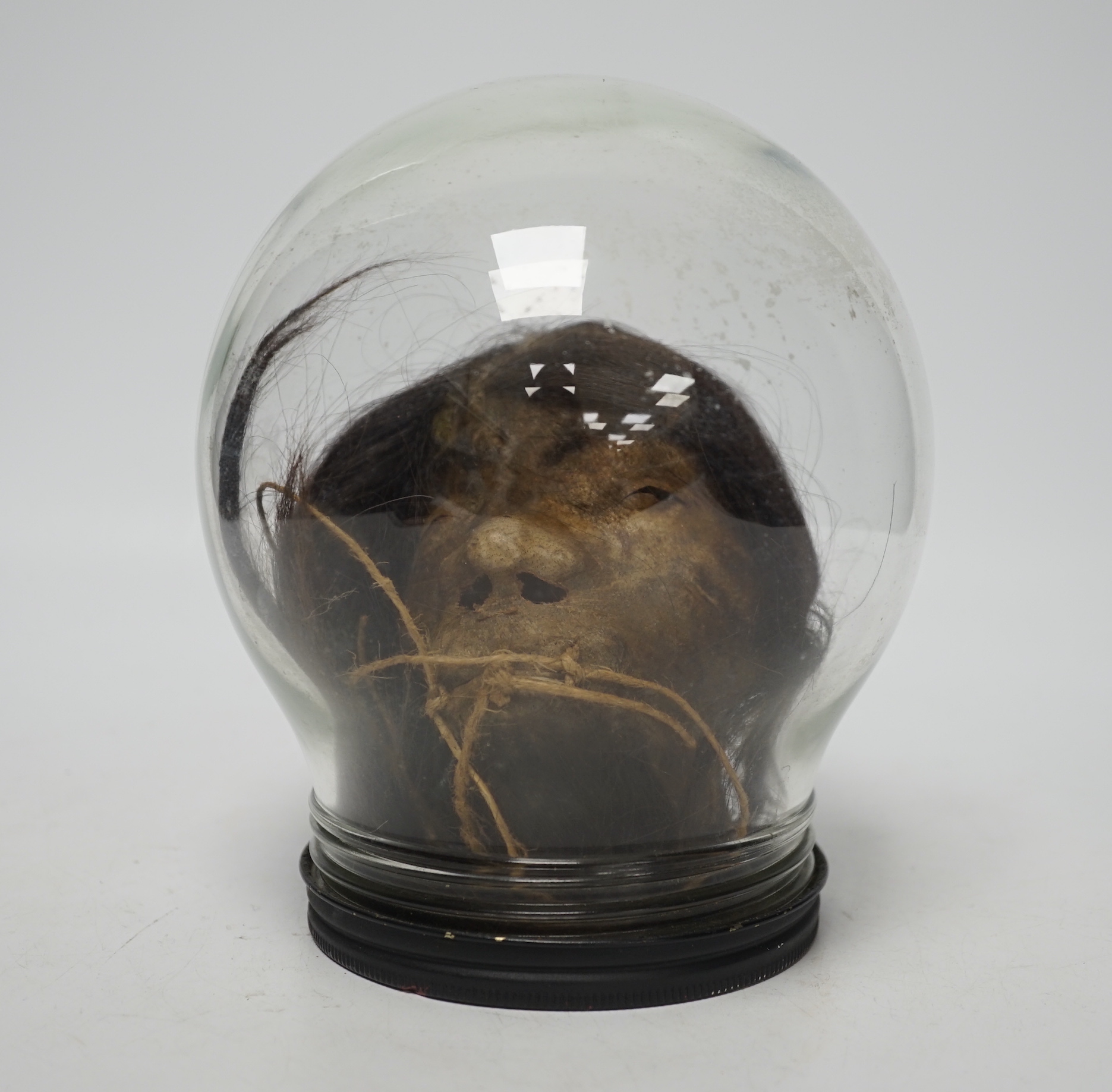 A copy of a shrunken head, in animal hide, mounted inside a glass dome on turned base, 18cm high